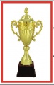 RAB 51181